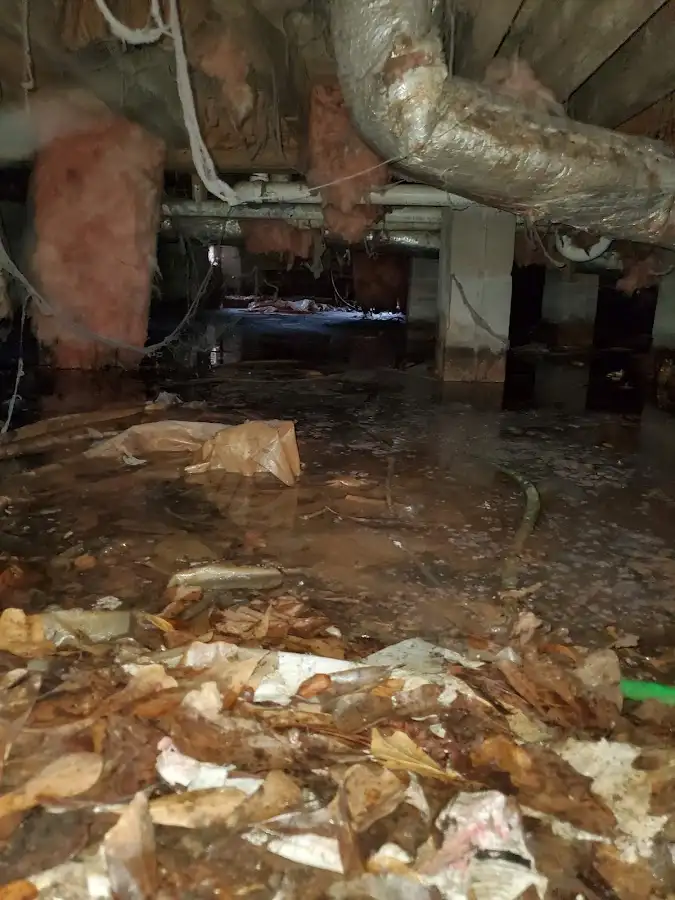 Crawl space flood assessment for Leak Detection & Repair in Twentynine Palms